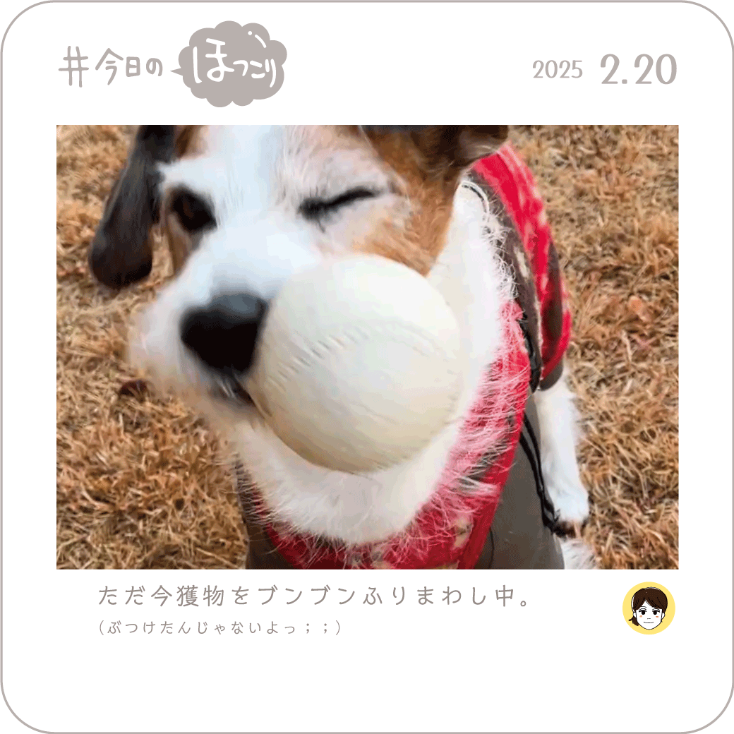 2025年2月13日のほっこり